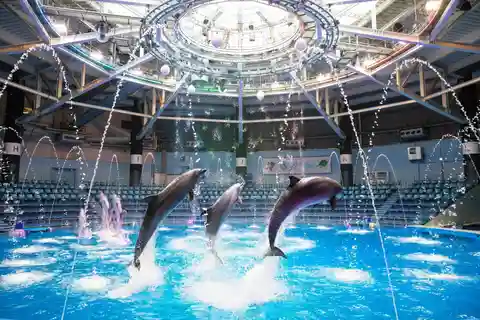 Tokio: Vstupenka s přímým vstupem do Maxell Aqua Park Shinagawa