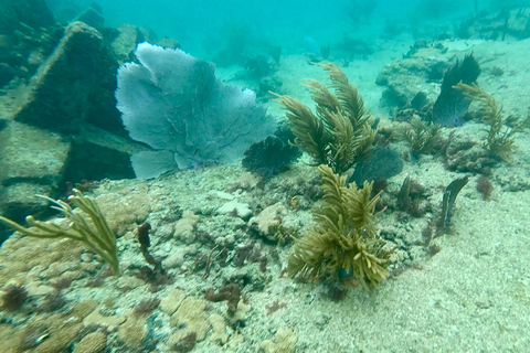 Ft Lauderdale: Combo Deal Snorkel Reefs, Kayak/SUP Mangroves