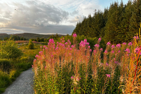 From Pitlochry: Schiehallion Guided Mountain Hike