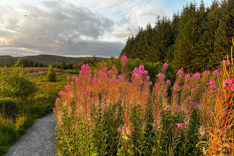 From Pitlochry: Schiehallion Guided Mountain Hike