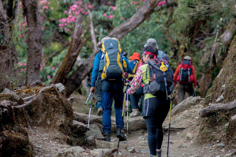 Ghorepani Poon Hill Trek with Hot Springs Experience