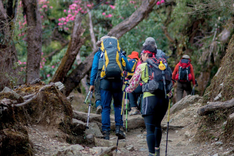 Ghorepani Poon Hill Trek with Hot Springs Experience