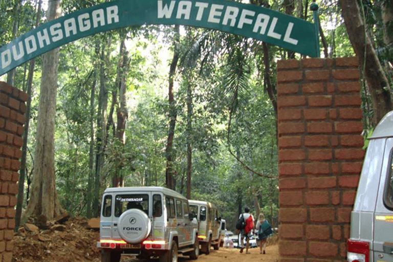 Goa: Dudhsagar Waterfall, Jeep Safari and Spice Plantation Dudhsagar Waterfall Trek