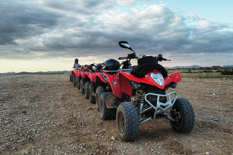 Aventure en quad dans la palmeraie