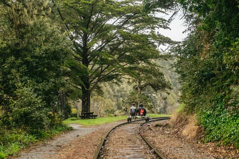 Mendocino County: Pudding Creek Railbikes | GetYourGuide