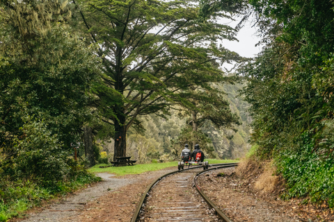 Mendocino County: Pudding Creek Railbikes
