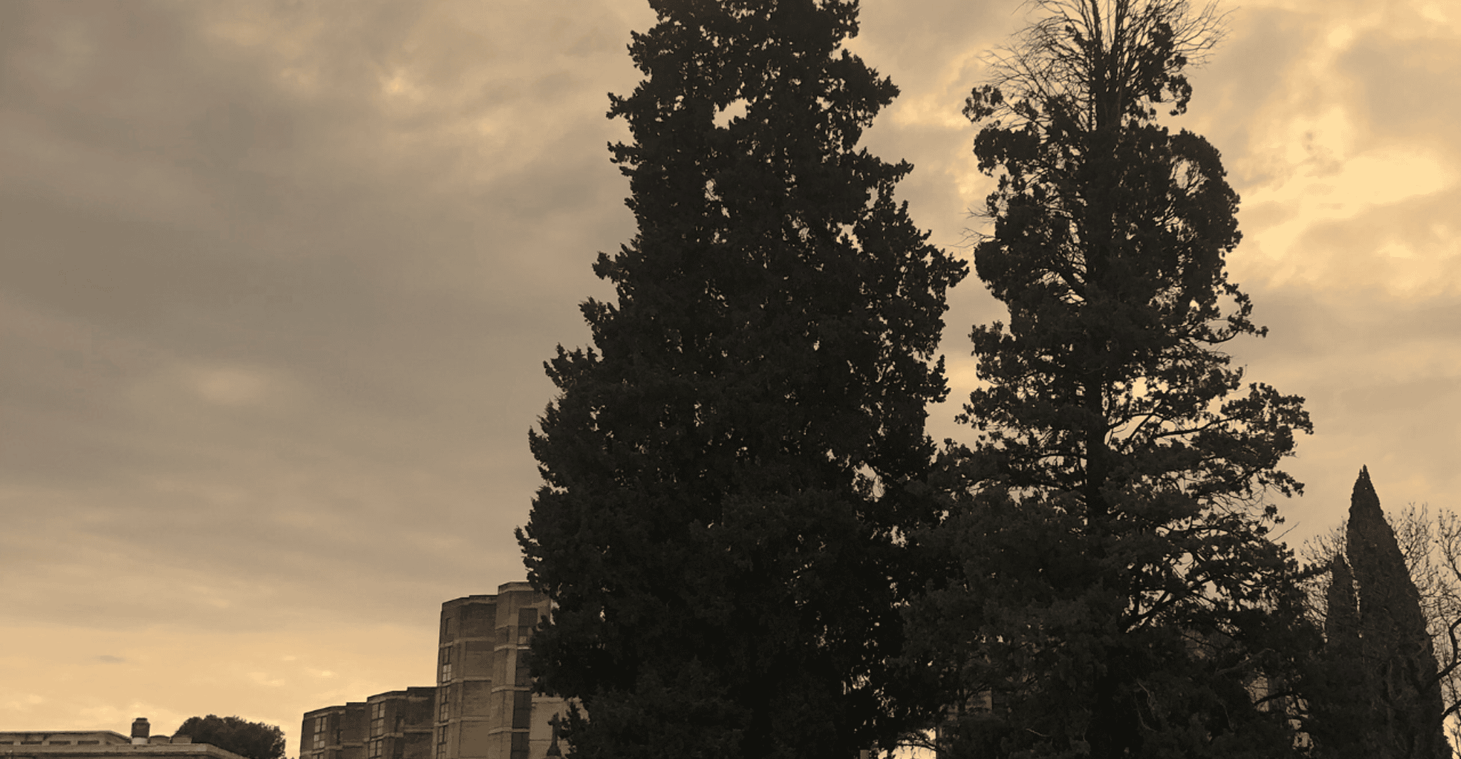 Alberdi Quartiere, Rivoluzionario Identità Walking Tour - Hizvo