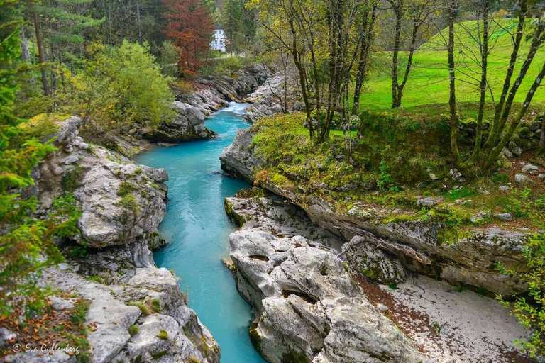 Bovec: Emerald Soča River & Alpine Forest Escape Tour