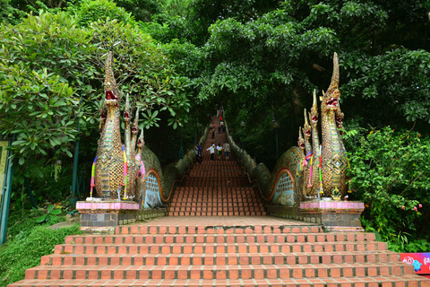 Chiang Mai: 4-godzinna wycieczka do Doi Suthep, Wat Umong i Wat Phalat