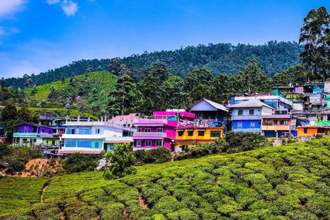 Excursión de una noche a la Estación de Munnar con la Belleza de Kerala