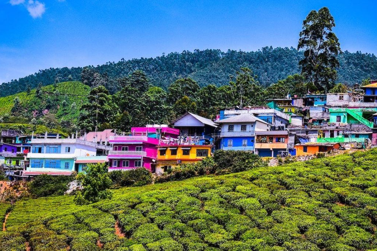 Excursión de una noche a la Estación de Munnar con la Belleza de Kerala