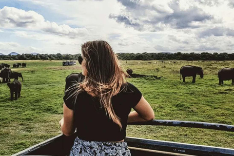 Kaudulla Discovery: Private Elephant Safari from Sigiriya