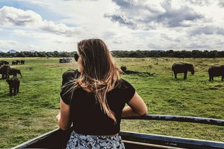 Kaudulla Discovery: Private Elephant Safari from Sigiriya