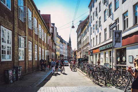 Excursão a pé particular à cidade de Copenhaga e ao Castelo de RosenborgVisita em alemão