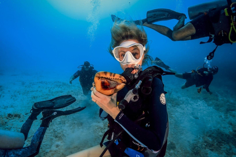 Cancún: Certified 2-Reef Diving Tour with Hotel Pickup