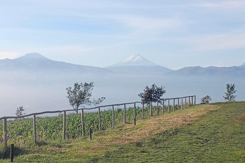 Ilalo caminata por el volcán dormido.