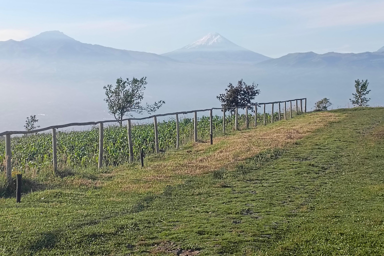 Ilalo caminata por el volcán dormido.