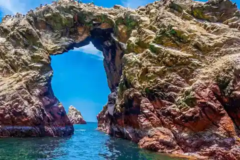 De Paracas: Passeio de barco guiado pelas Ilhas Ballestas