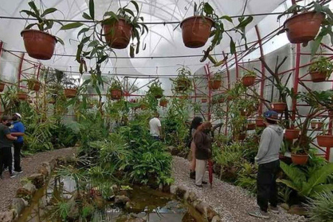 Quito: By bike, viewpoint, markets, parks, Basilica del Voto Nacional Quito: Cycling, viewpoints, markets, parks, National Vow Basilica