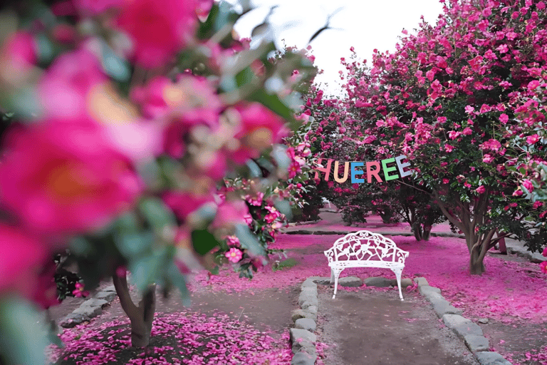 Jeju: Winter East Snow, Camellia, Tangerine Picking Tour