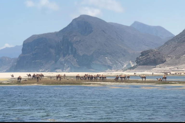 Salalah West Tour (Al fazayah beach, shaat viewpont)