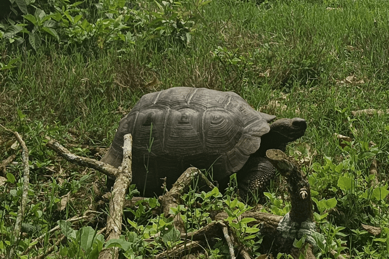 4 days tour in Galapagos Las Grietas and Tortuga Bay