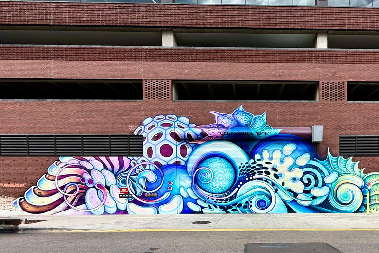 Denver: North RiNo Art District Graffiti and Street Art Tour