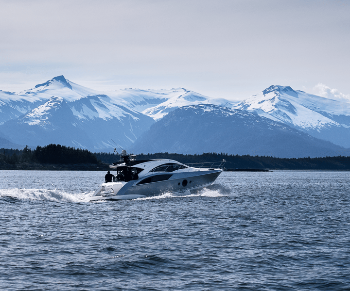All Inclusive Luxury Whale Watch