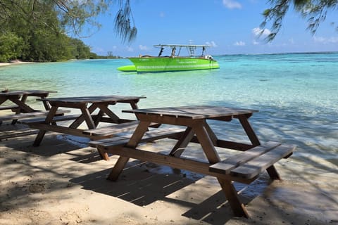 Moorea : excursion en canoë dans le lagon avec plongée et barbecue