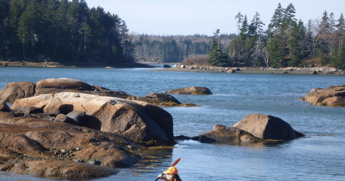 Maine: Penobscot River Guided Kayaking Tour | GetYourGuide