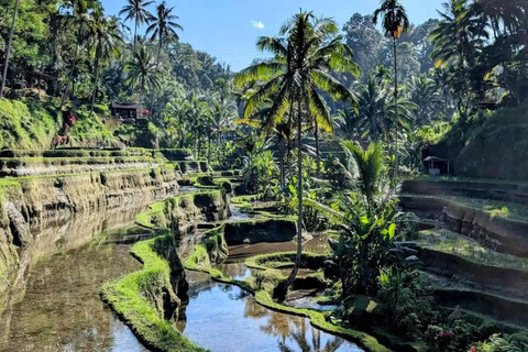 AKASA Sunrise Cafe, Toya Devasya Hot Springs & Rice Terrace