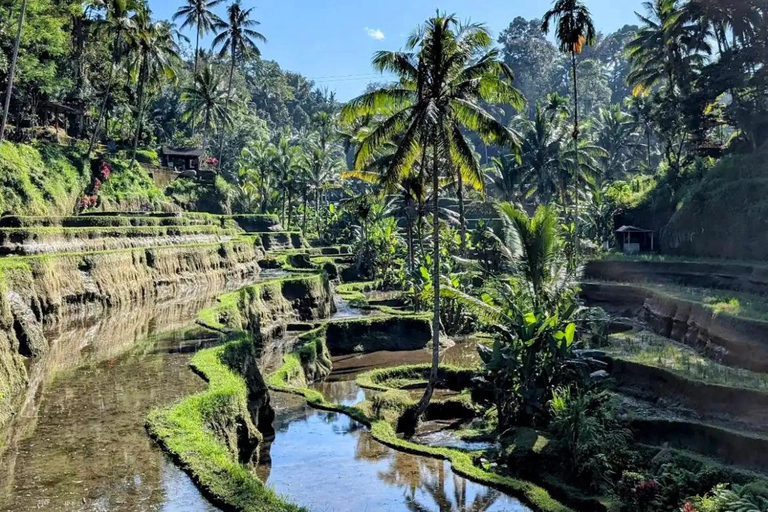 AKASA Sunrise Cafe, Toya Devasya Hot Springs & Rice Terrace