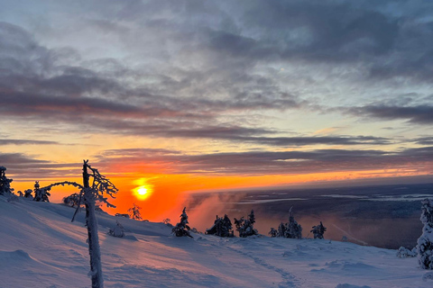 Levi: Snöskovandring: Tomtens stuga och picknick i natursköna omgivningar