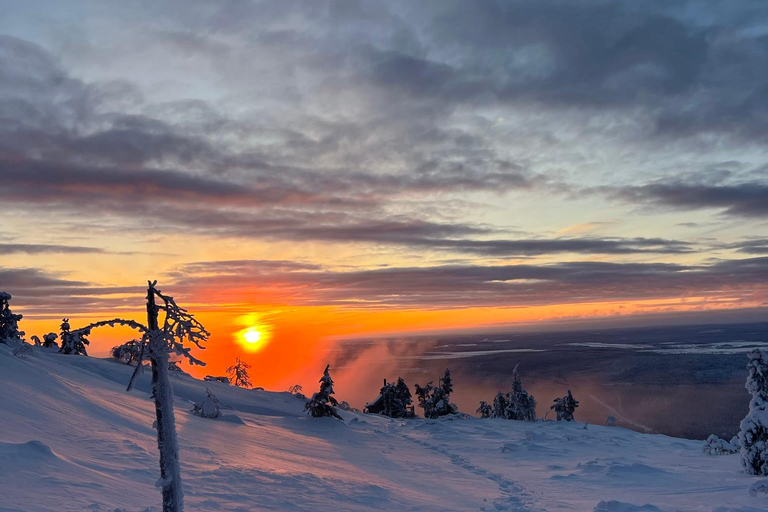 Levi: Snöskovandring: Tomtens stuga och picknick i natursköna omgivningar