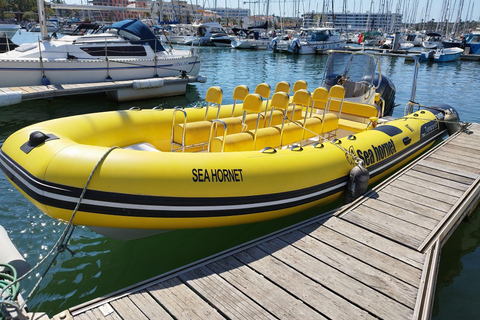 Lagos: Båttur i soluppgången i Benagil-grottan