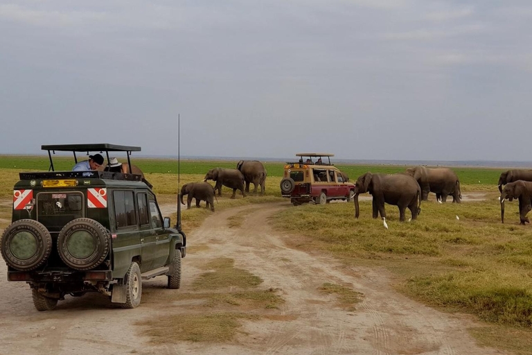 Safari de 2 jours dans le parc national d'Amboseli