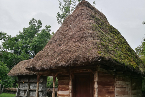 Panoramiczna wycieczka po Bukareszcie z trzema przystankami i dwiema wizytami.