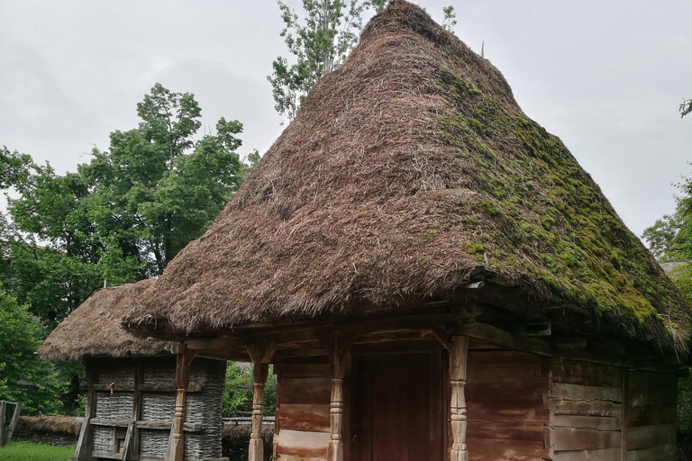 Panoramic tour of Bucharest with three stops and two visits.