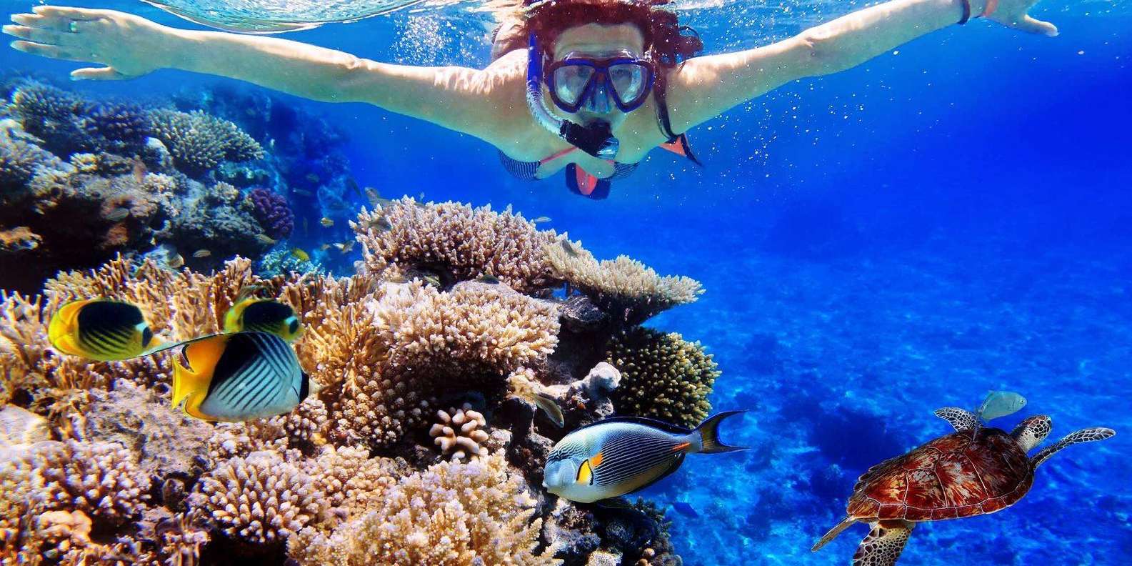 From Bali: Nusa Penida Snorkeling & Island Tour Special Trip