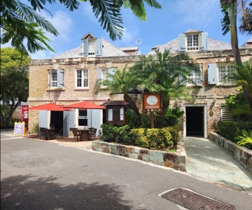 Da Saint John's: Tour di un giorno ad Antigua con pranzo