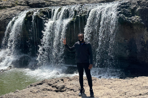 Addis Ababa: Debre Libanos, Gelada Baboons, & Gorge Tour