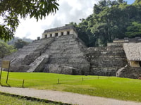 From Palenque, Palenque and Roberto Barrios Waterfalls Tour - Housity