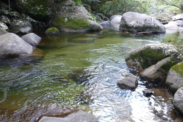 Daintree Rainforest: Flusskreuzfahrt und Regenwaldspaziergang