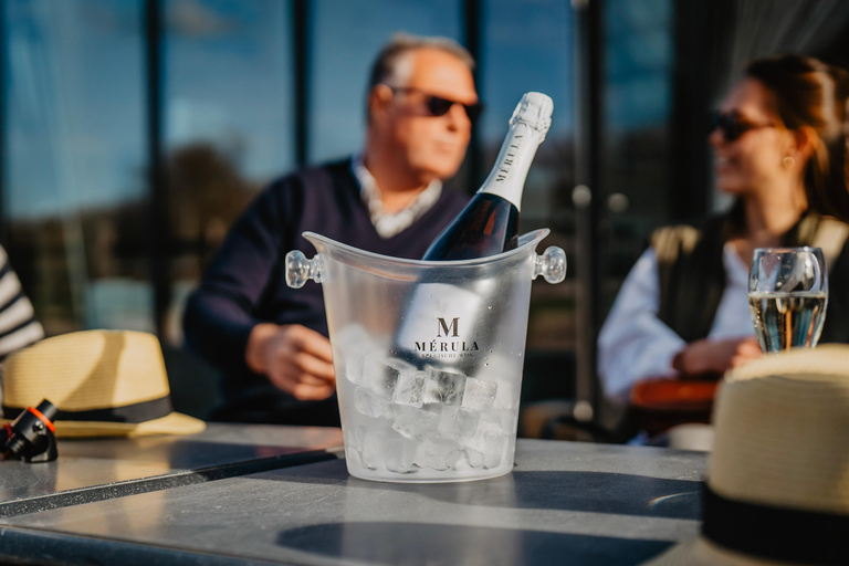 Boat trip & wine tour in Bruges