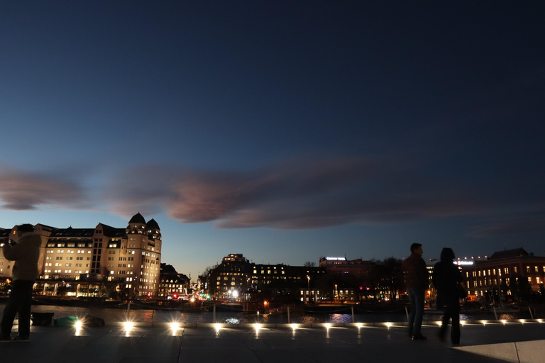 Oslo: Private Vintage Walking Tour with Photos Private Vintage Oslo Walk & Aesthetic Photos