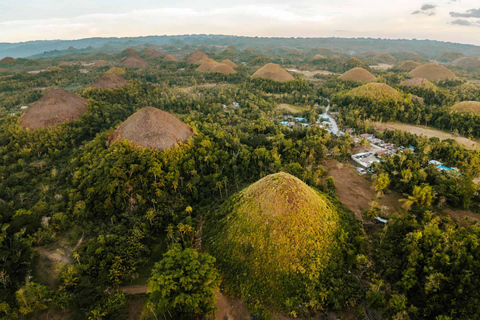 From Cebu: Bohol Day Tour with River Cruise and Lunch