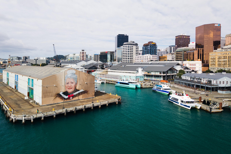 Wellington: The Great Harbour of Tara Electric Ferry Tour