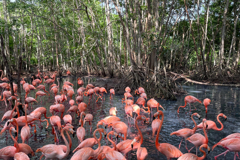 CARTAGENA: Aviary and Beach Day Trip with Lunch