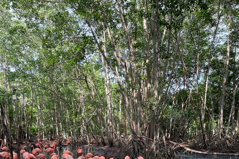 CARTAGENA: escursione di un giorno alla voliera e alla spiaggia con pranzo