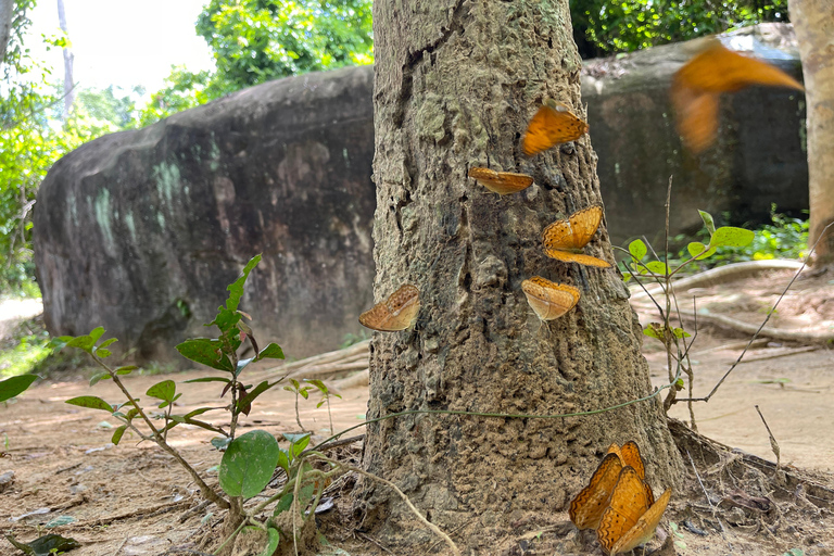 Ukryte klejnoty Kambodży: Kbal Spean i świątynia Banteay Srei